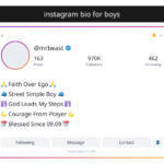 instagram bio for boys