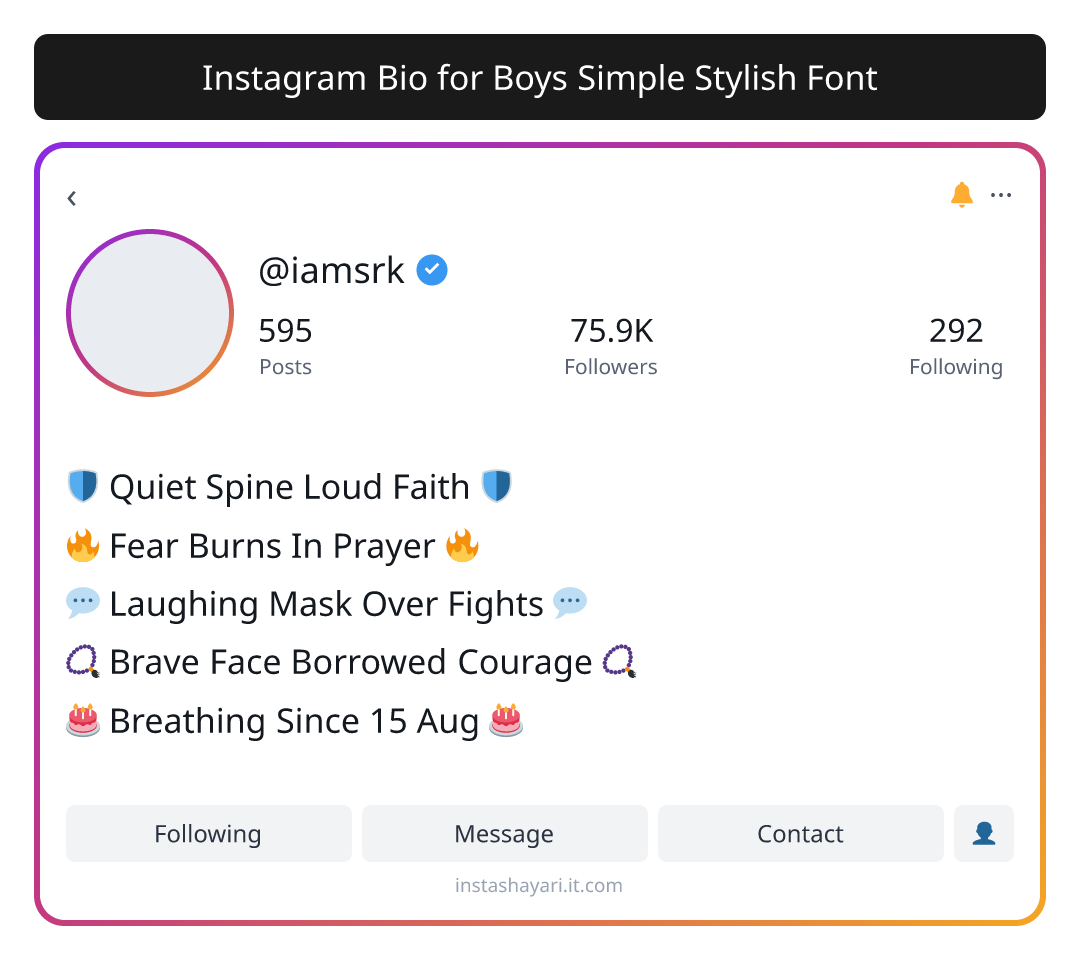 Instagram Bio for Boys Simple Stylish Font