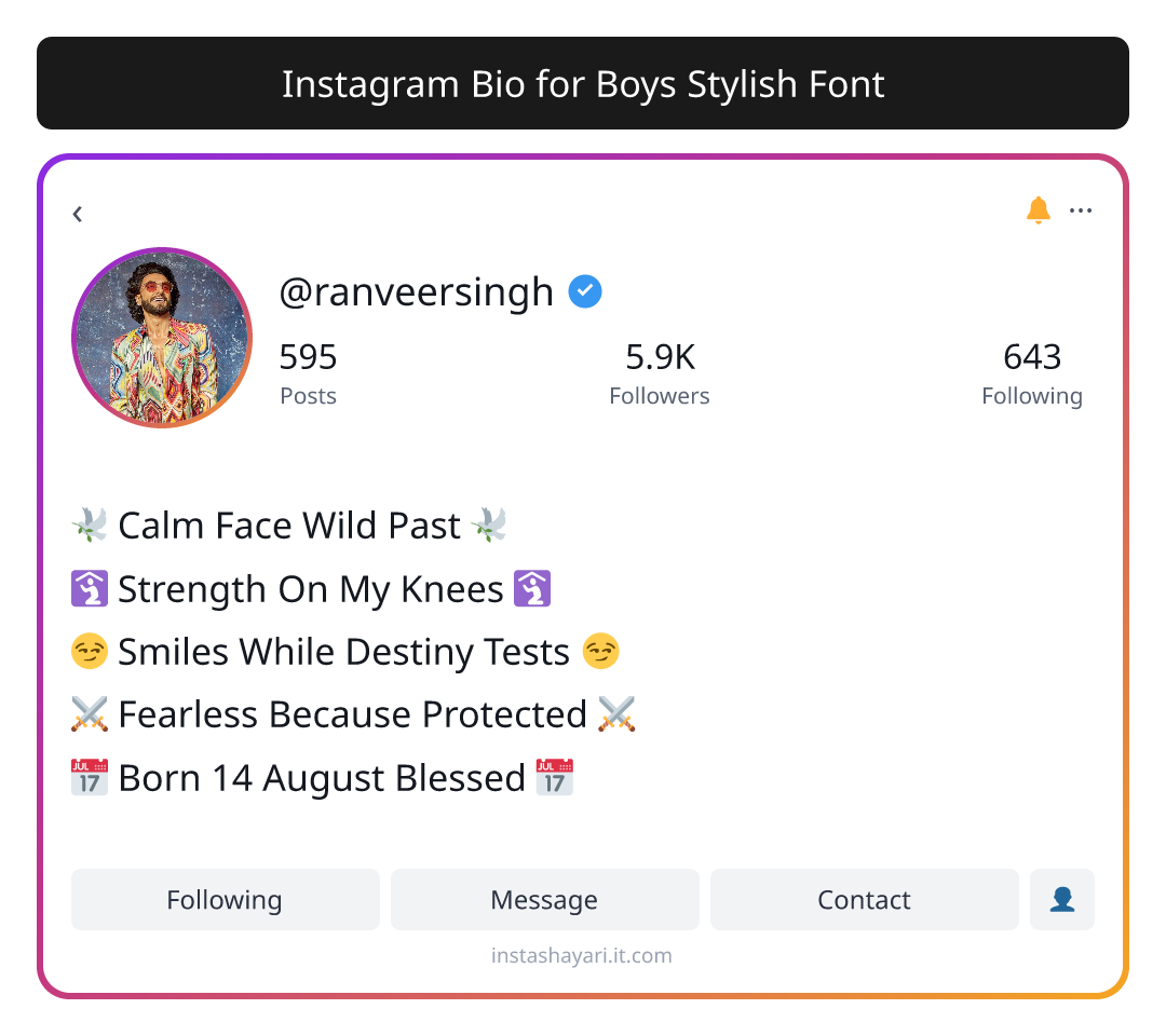 Instagram Bio for Boys Stylish Font