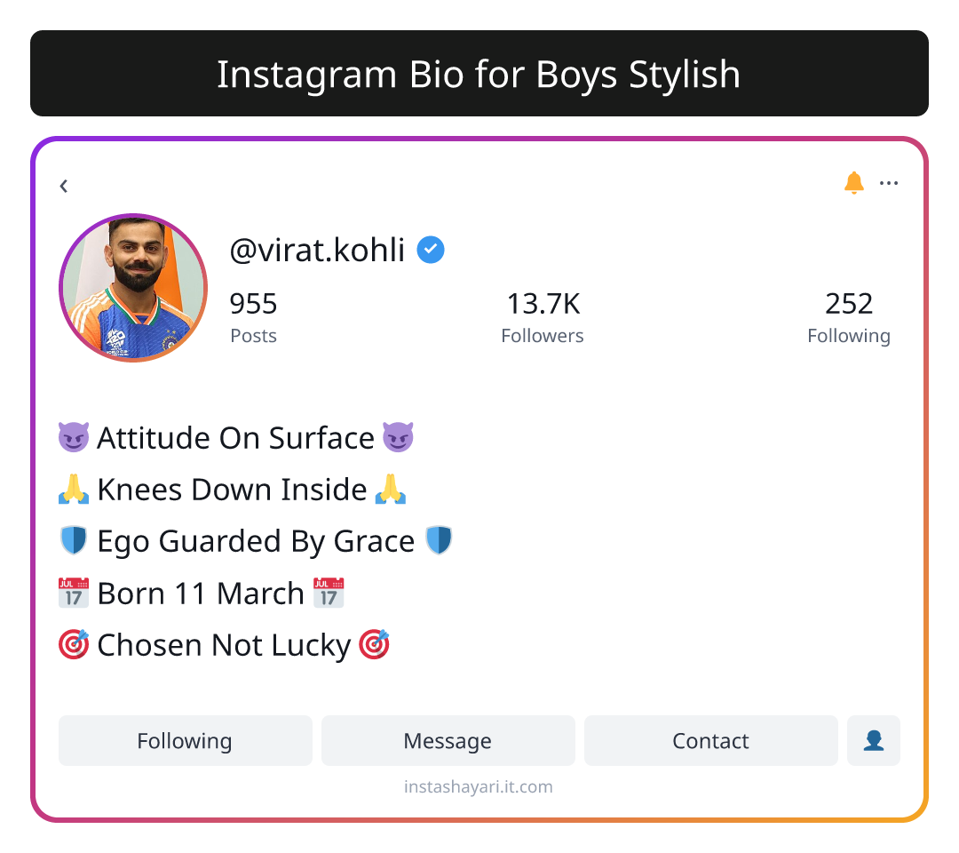 Instagram Bio for Boys Stylish