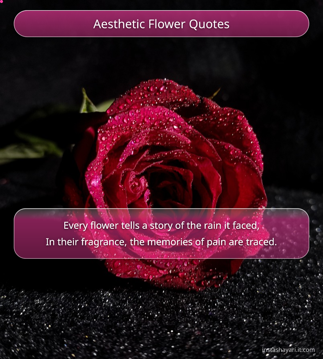 Aesthetic Flower Quotes - aesthetic quotes