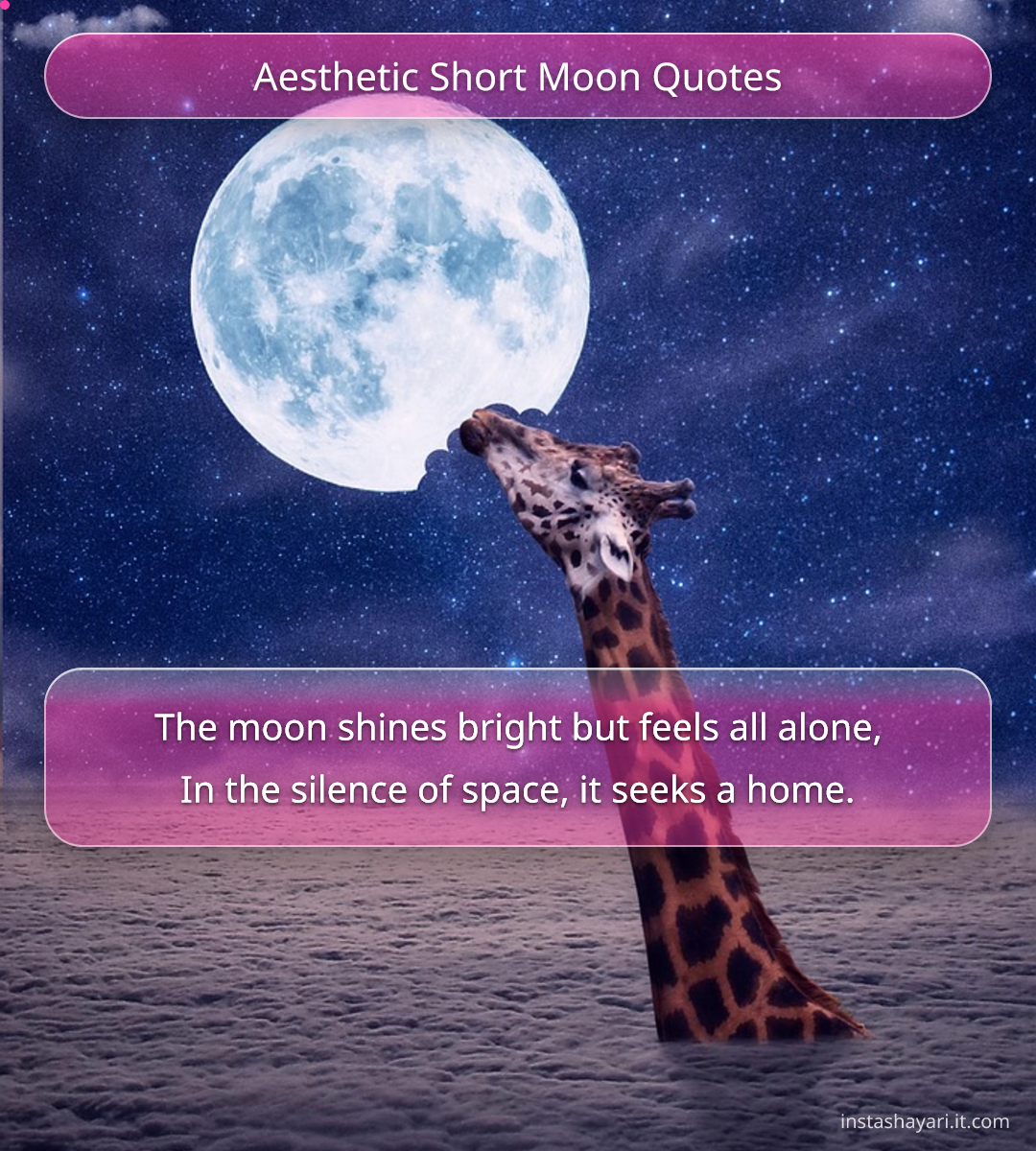 Aesthetic Short Moon Quotes - aesthetic quotes