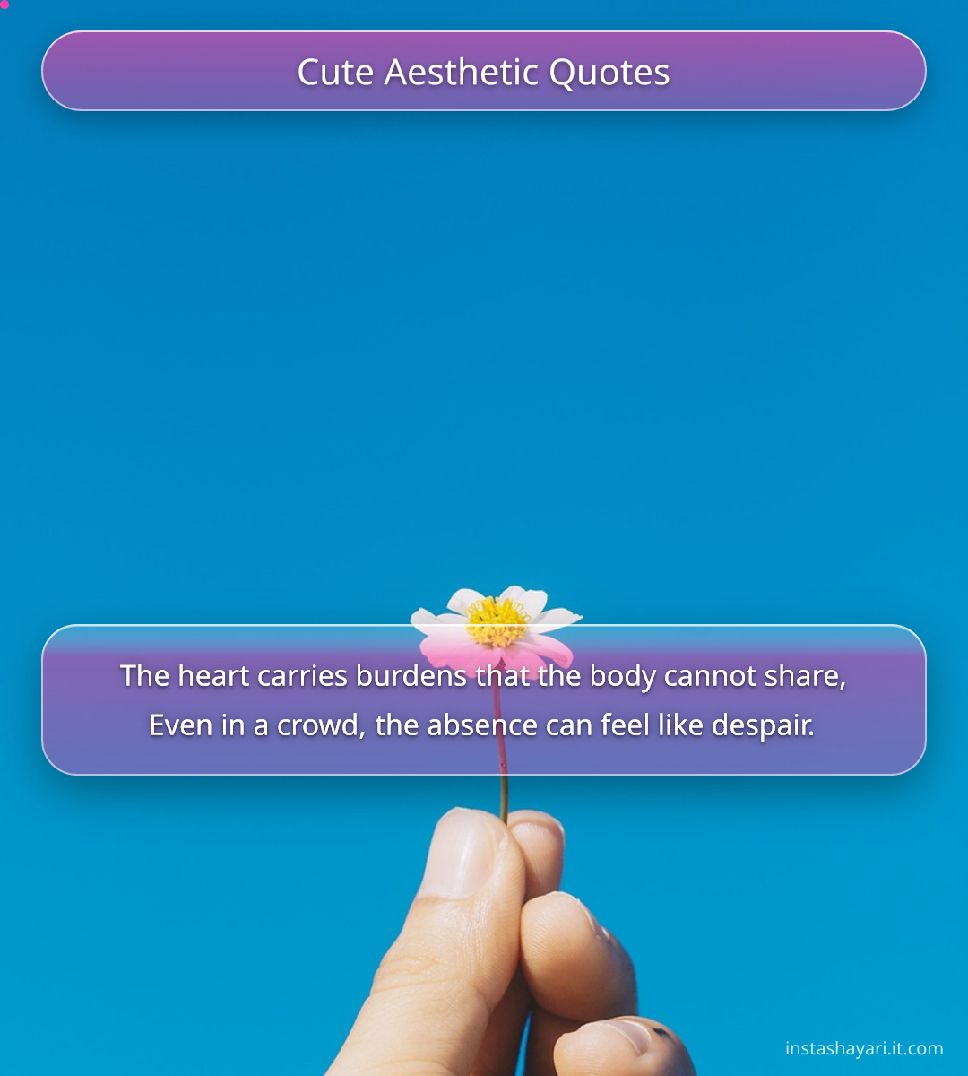 Cute Aesthetic Quotes