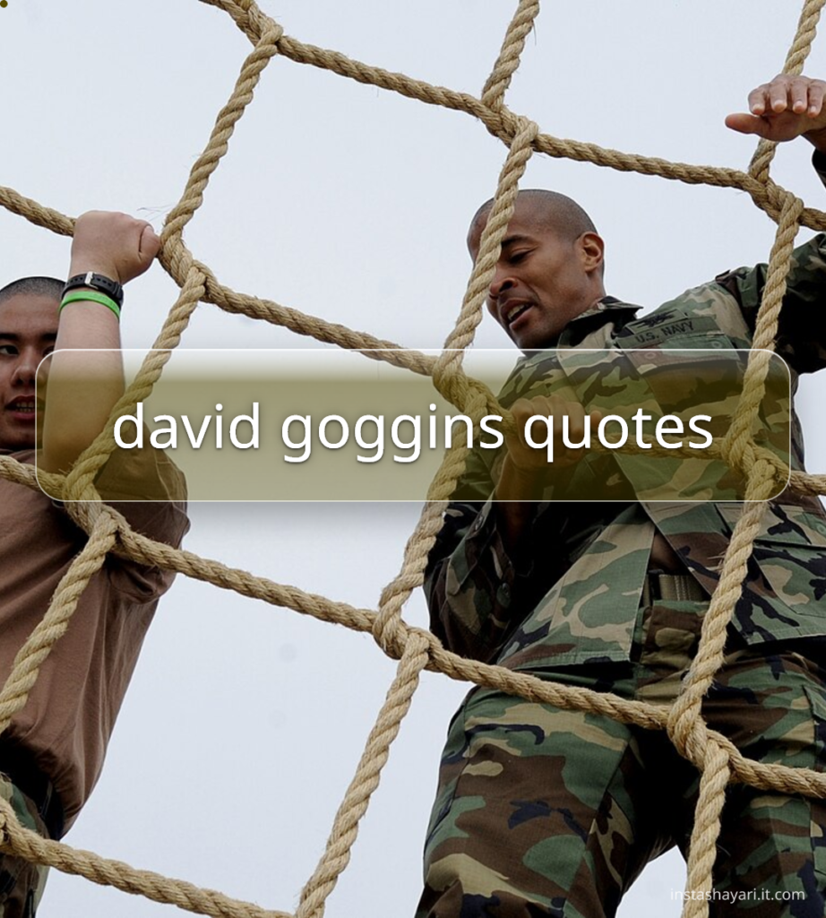 david goggins quotes