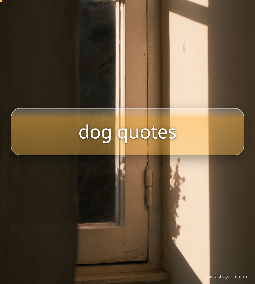 dog quotes