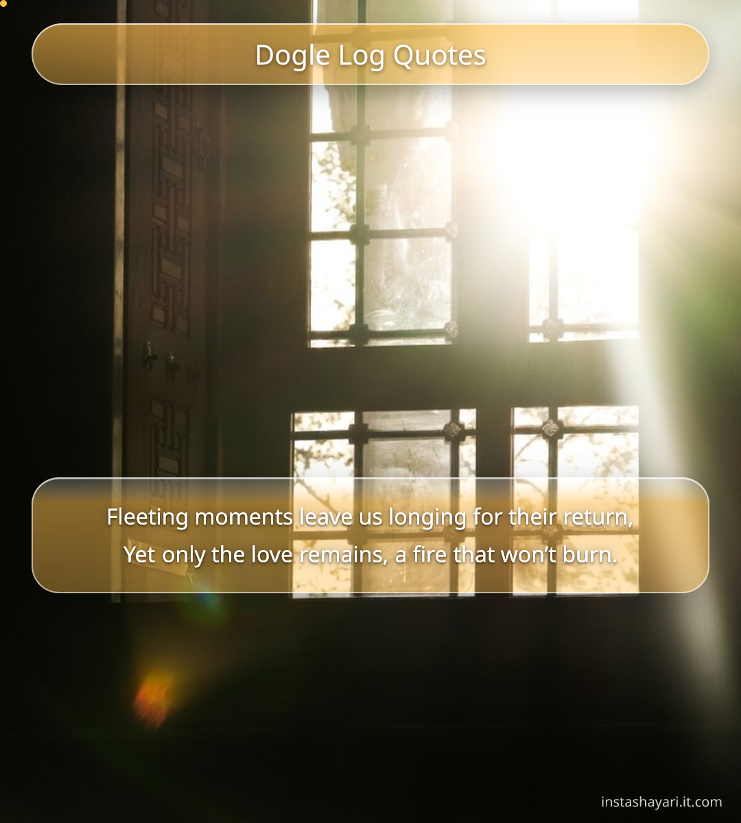Dogle Log Quotes - dog quotes