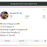 instagram bio for boys stylish font
