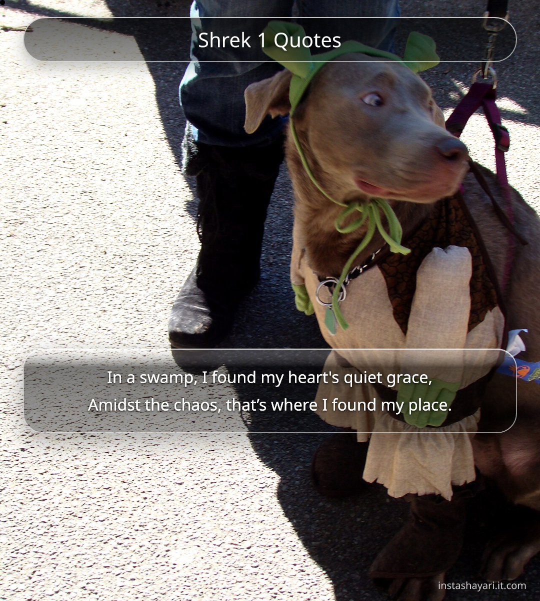 Shrek 1 Quotes - shrek quotes