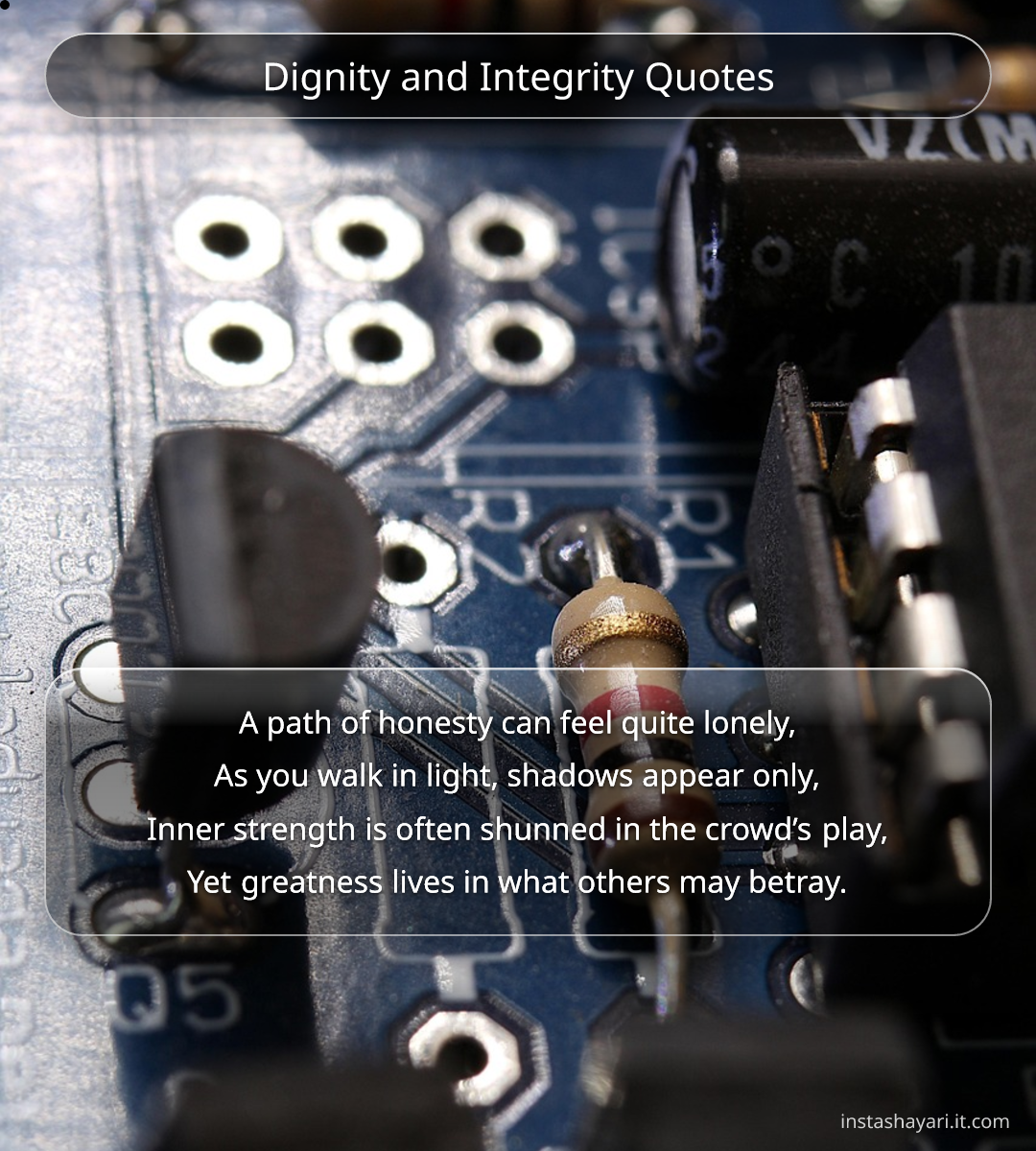 Dignity and Integrity Quotes