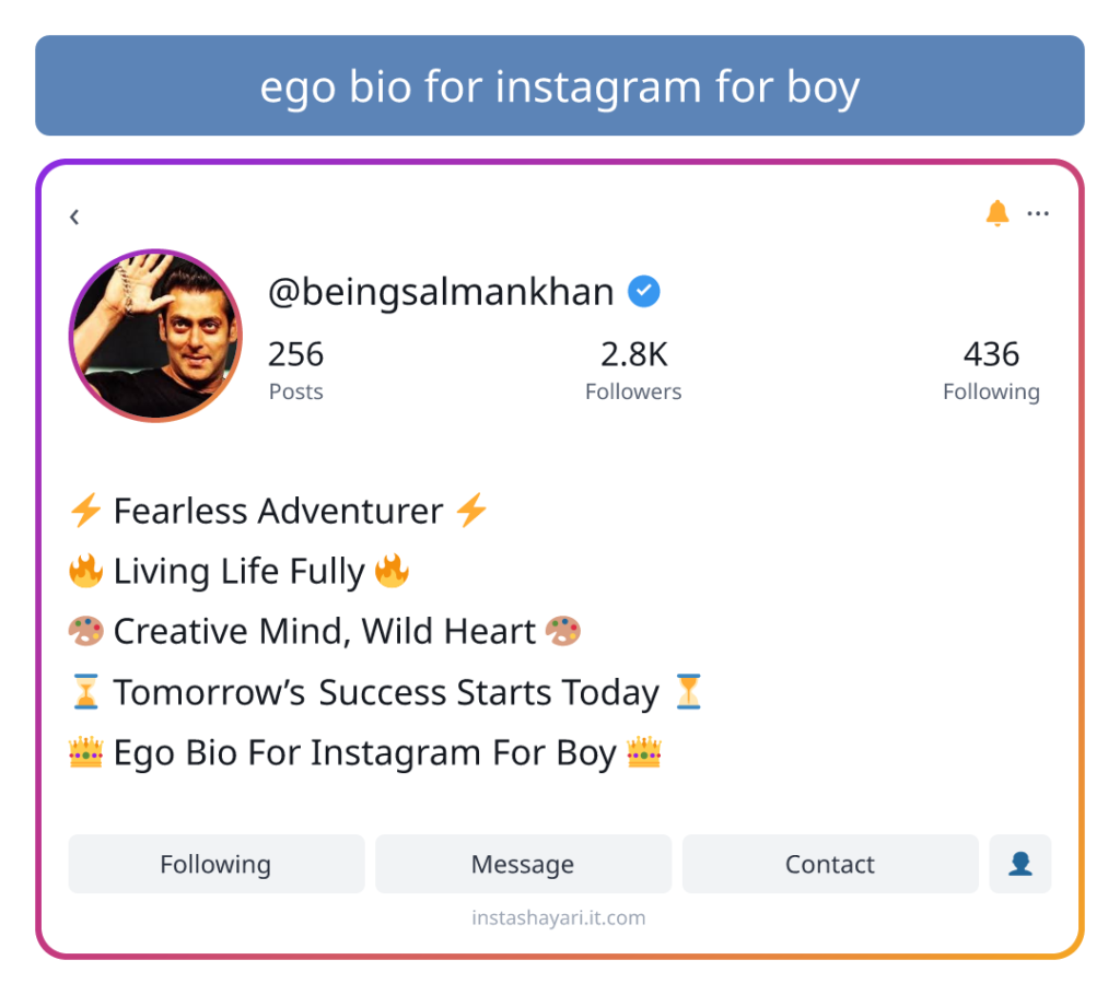 ego bio for instagram for boy
