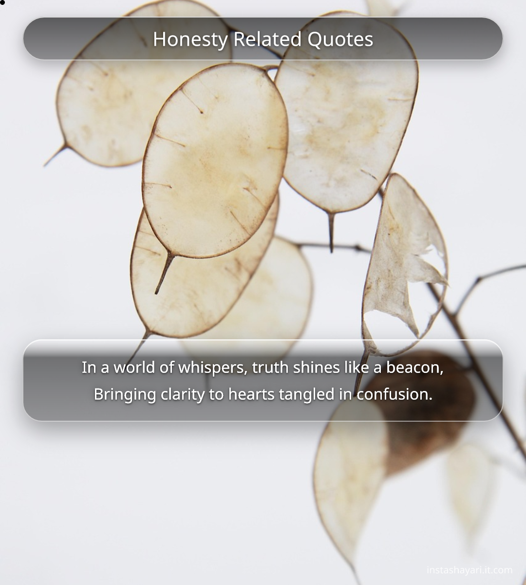 Honesty Related Quotes - honesty quotes