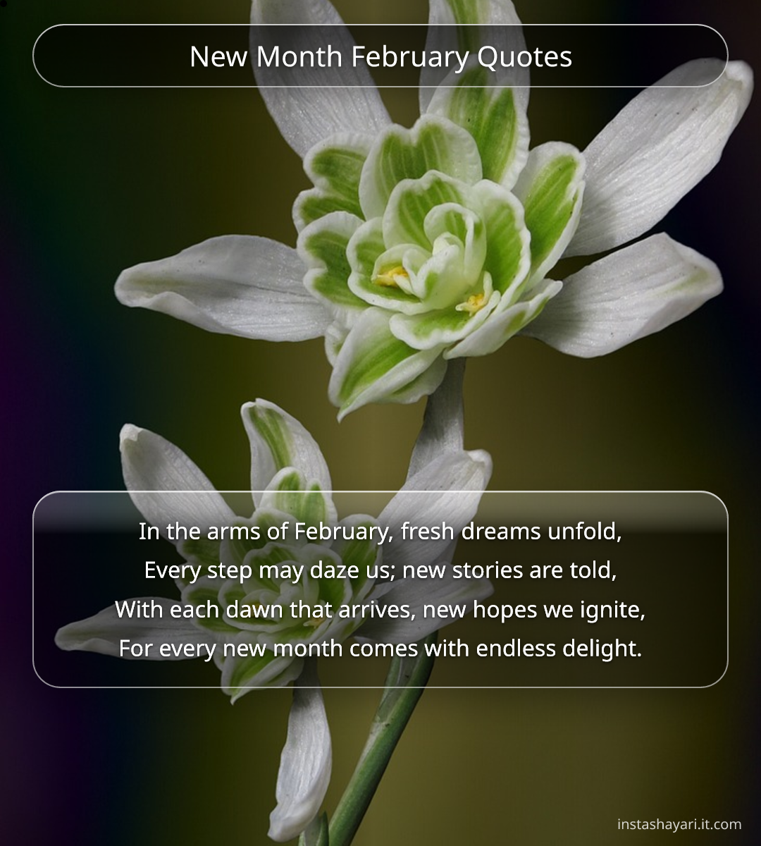 New Month February Quotes