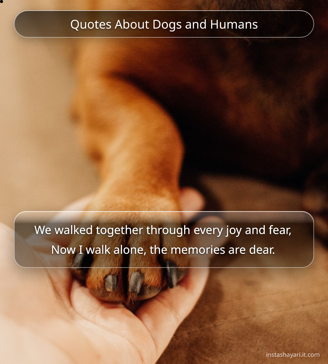 Quotes About Dogs and Humans