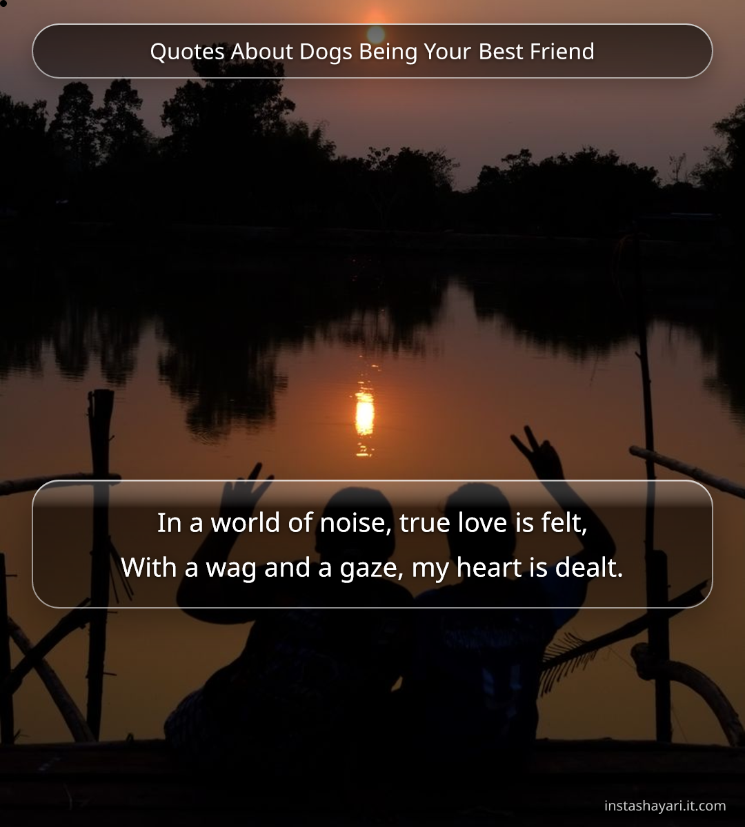 Quotes About Dogs Being Your Best Friend