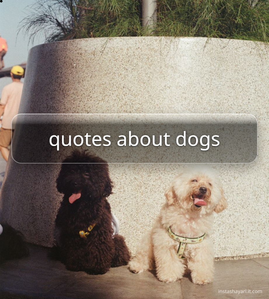quotes about dogs