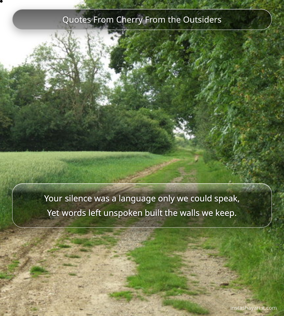 Quotes From Cherry From the Outsiders - quotes from the outsiders