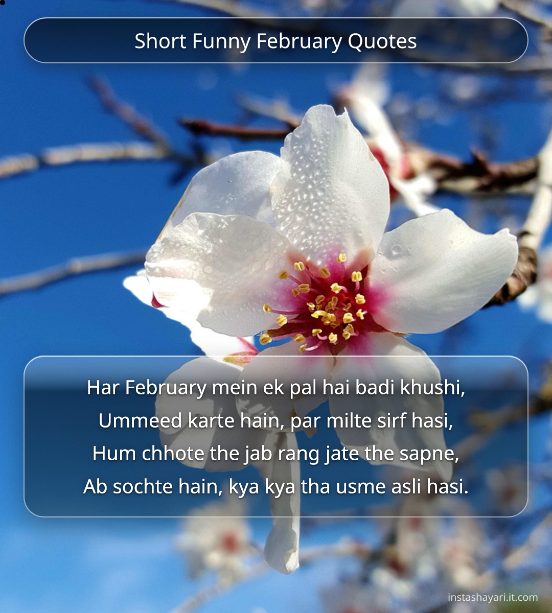 Short Funny February Quotes